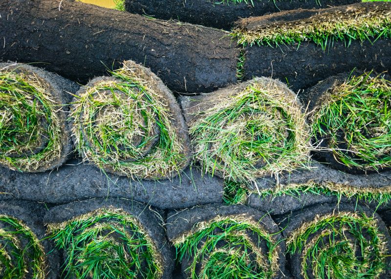 Commercial Sod Installation in Ventura County, CA