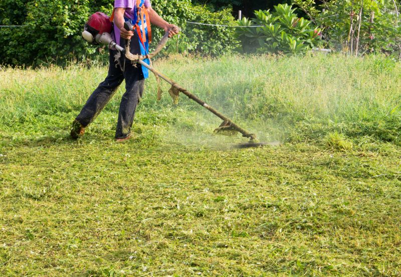 Crabgrass Removal in Honolulu, HI