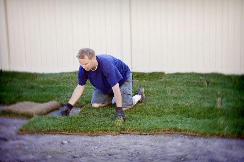 Grass Replacement in Aiken, SC
