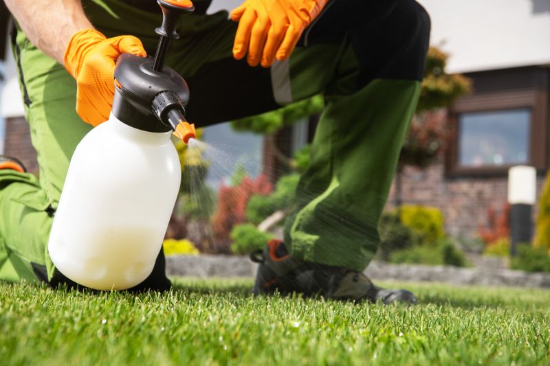 Lawn Fungus Treatment in Ventura County, CA