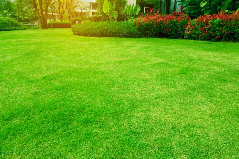 Lawn Replacement in Ventura County, CA