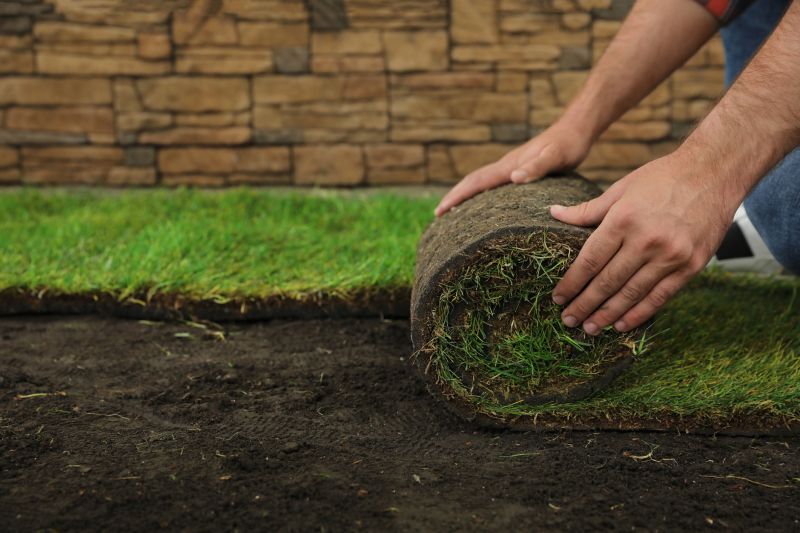 Lawn Sodding in Honolulu, HI