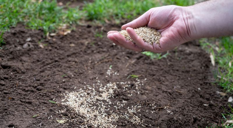Residential Grass Seeding in Ventura County, CA
