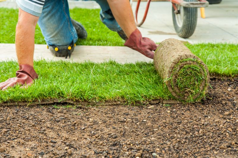 Sod Landscaping in Honolulu, HI