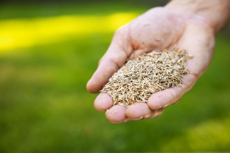 Turf Seeding in Ventura County, CA