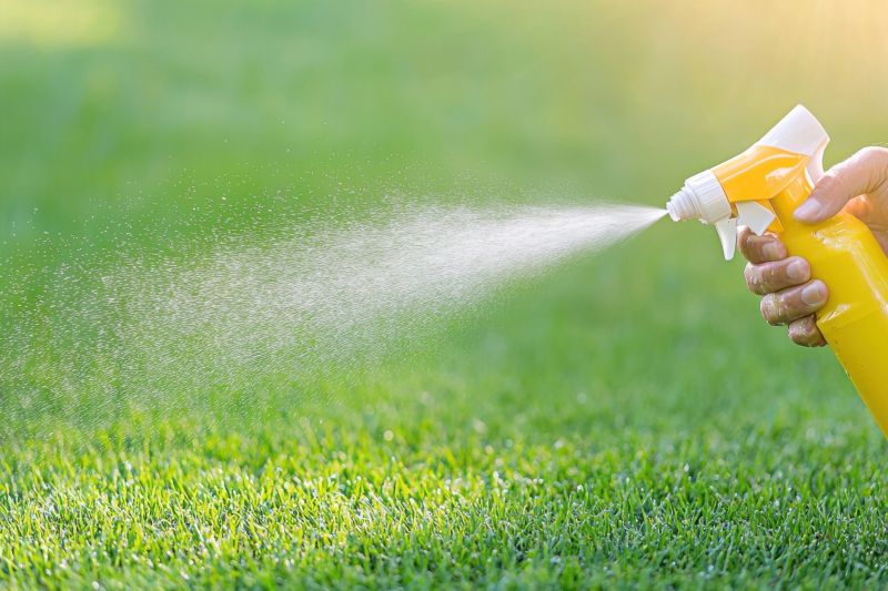 Weed Prevention Service in Ventura County, CA
